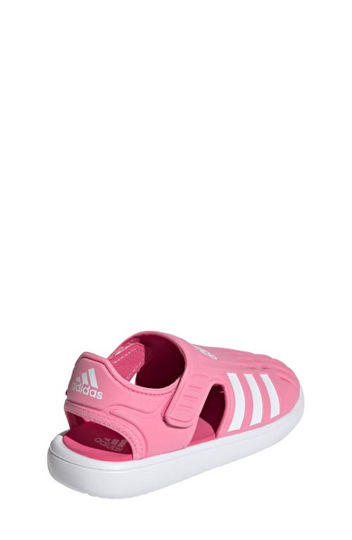 Adidas Originals Adidas Water Sandal In Pink/footwear White/magenta