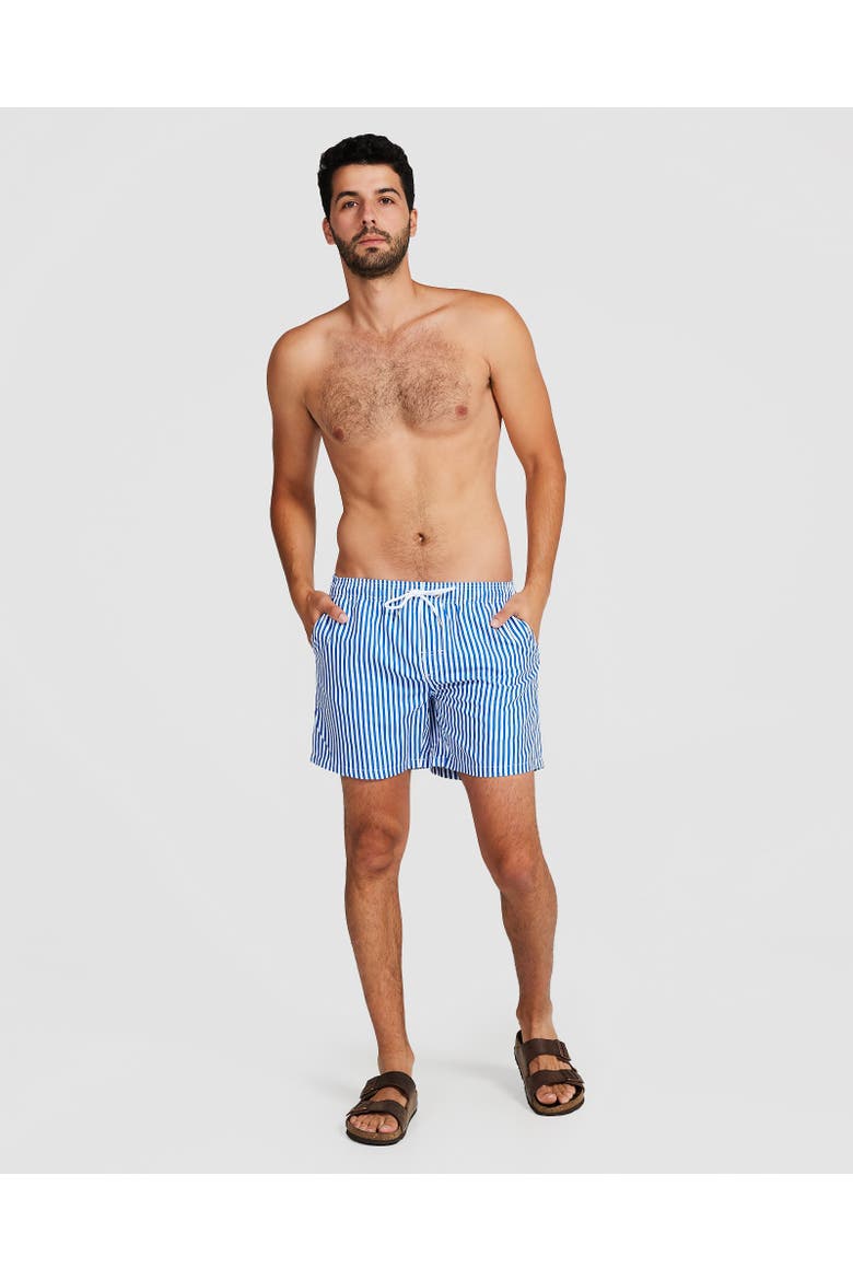 Corfu Swim Short, Alternate, color, Blue & White Pin Stripe