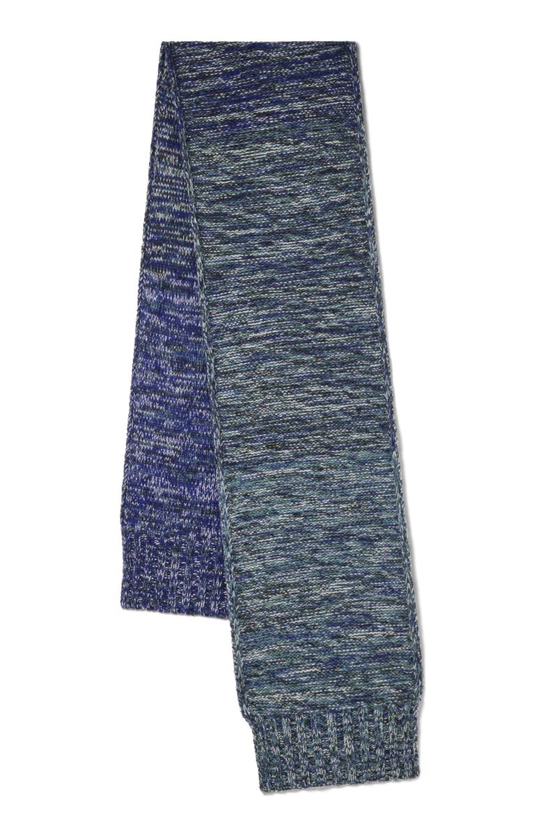 Mulberry Ombre Degrade Scarf, Alternate, color,