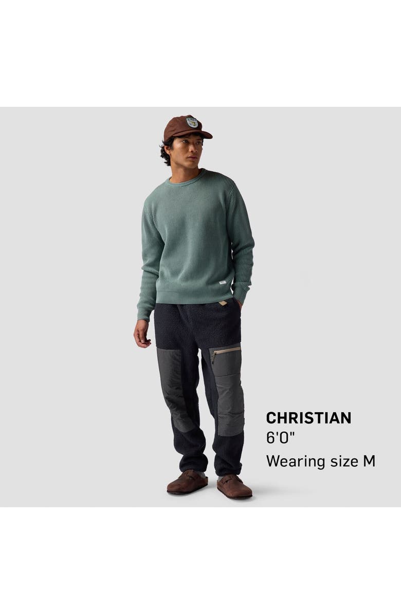 Backcountry Wander Pile-Fleece Pant - Men's, Alternate, color, Black