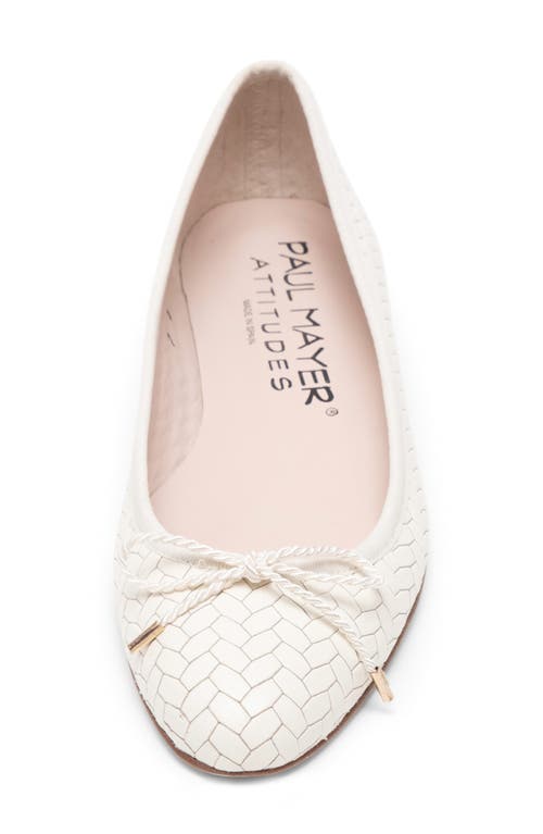 Paul Mayer Luxe Textured Ballet Flat