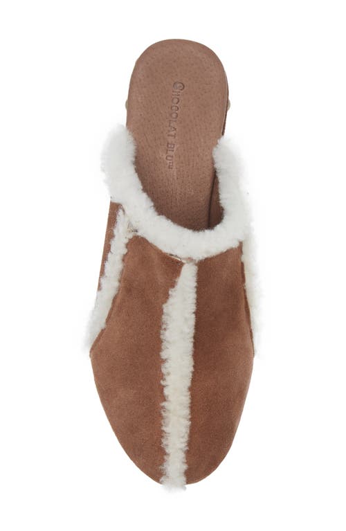 Chocolat Blu Greer Genuine Shearling Platform Clog In Brown
