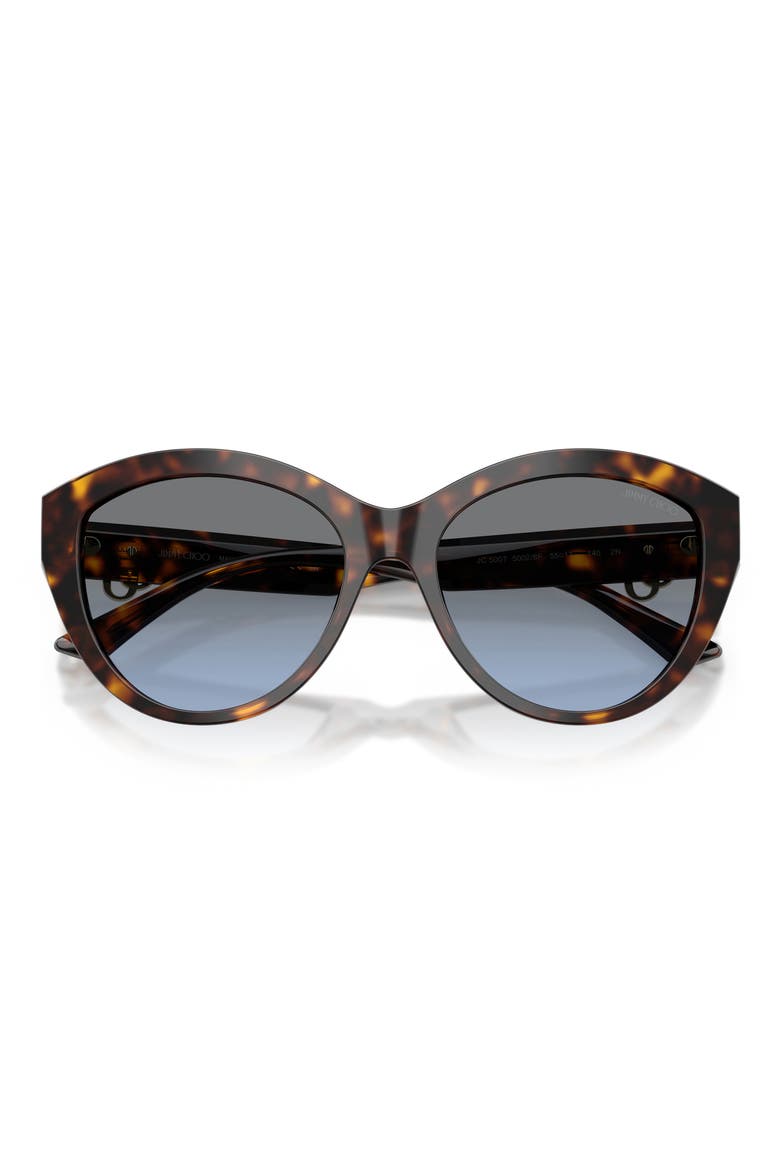 55mm Phantos Sunglasses, Alternate, color, HAVANA / GRADIENT BLUE