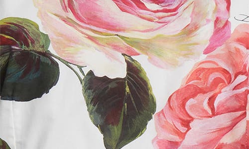 Dolce & Gabbana Dolce&gabbana Rose Print Cotton Fit & Flare Dress In Rose Rosa Floral.bianco