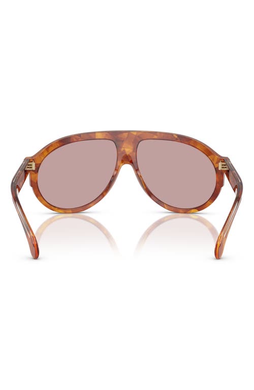 Moncler Unisex Sunglasses Me6001 Fhaite In Tortoise