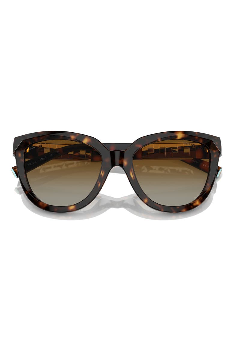 53mm Gradient Polarized Cat Eye Sunglasses, Alternate, color, HAVANA