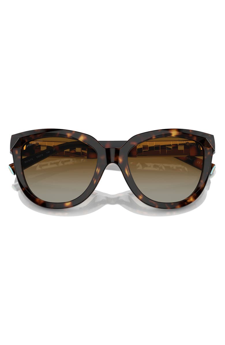 Tiffany & Co. 53mm Gradient Polarized Cat Eye Sunglasses, Alternate, color, Havana