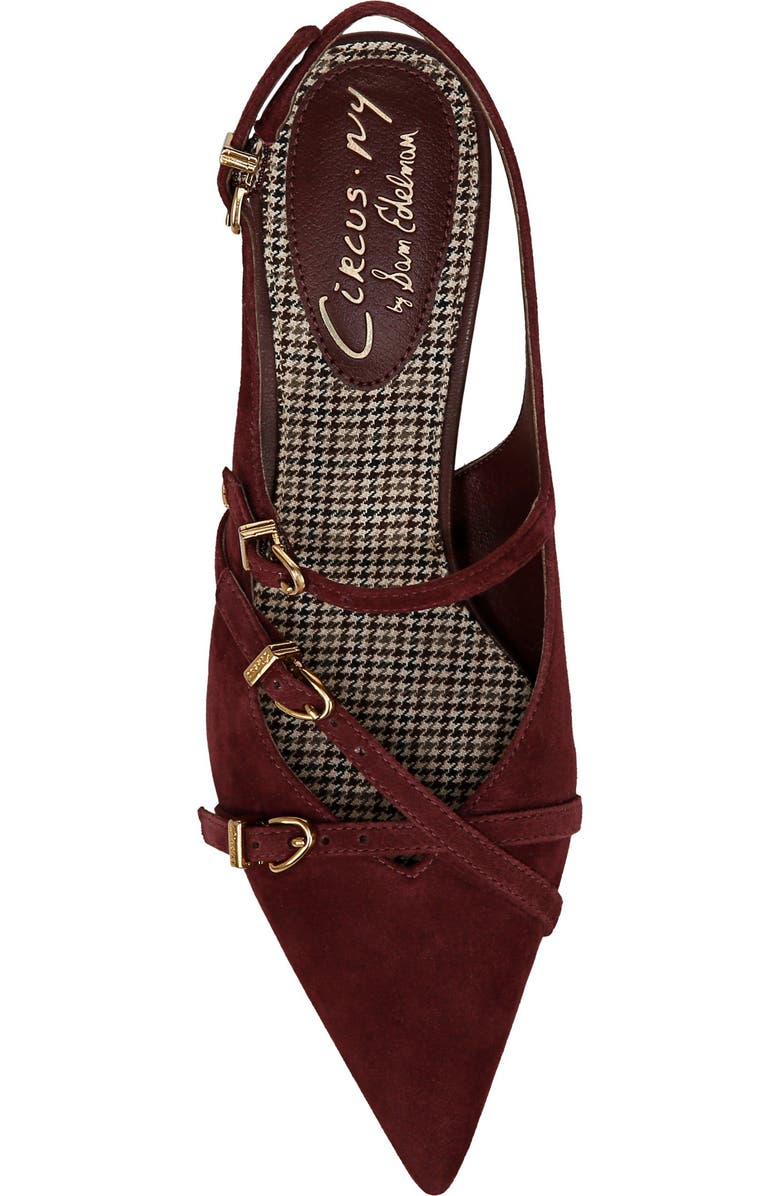 Circus NY by Sam Edelman Fraya Slingback Pointed Toe Pump, Alternate, color, Spiced Plum Cs
