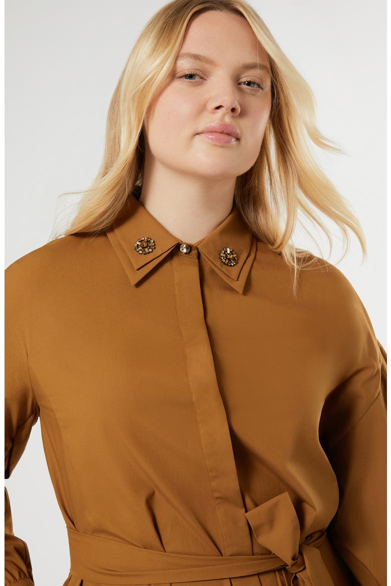 Nanfora Long Sleeve Cotton Shirtdress, Alternate, color, SIENA