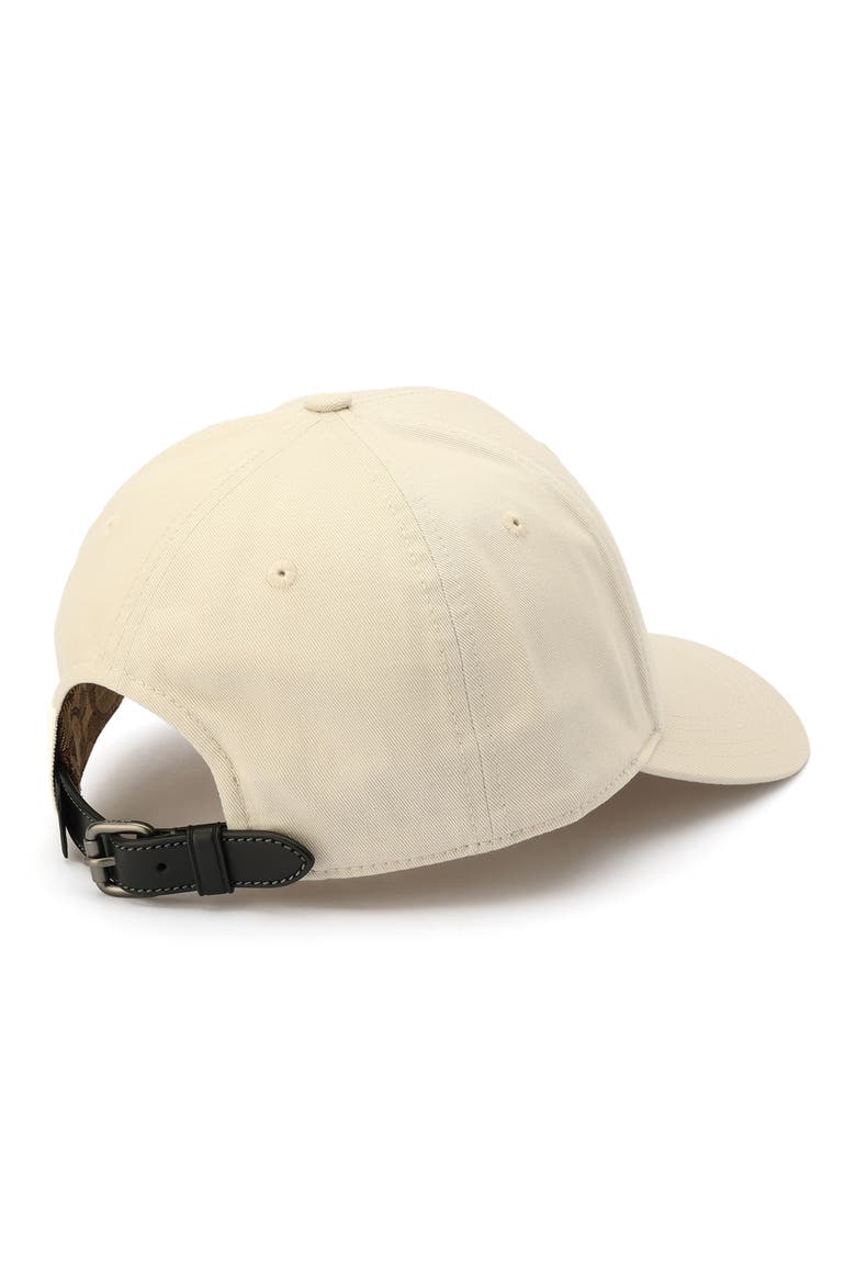 Embroidered Cotton Canvas Baseball Cap, Alternate, color, STEAM
