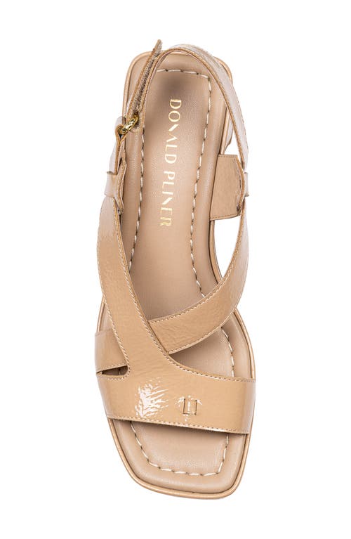 Shop Donald Pliner Romin Slingback Sandal