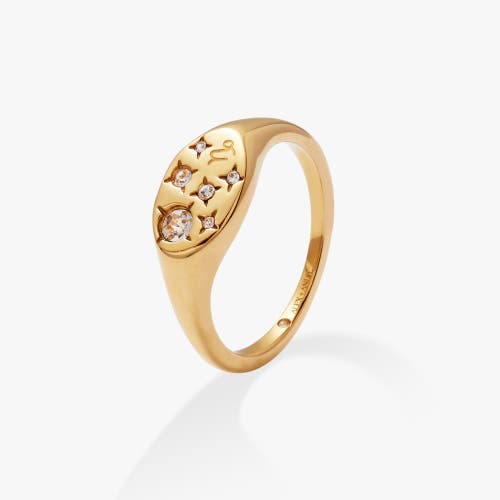 Alex And Ani Zodiac Ring In Gold Capricorn