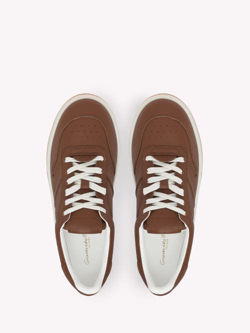 Gianvito Rossi Flair S Sneakers In Brown