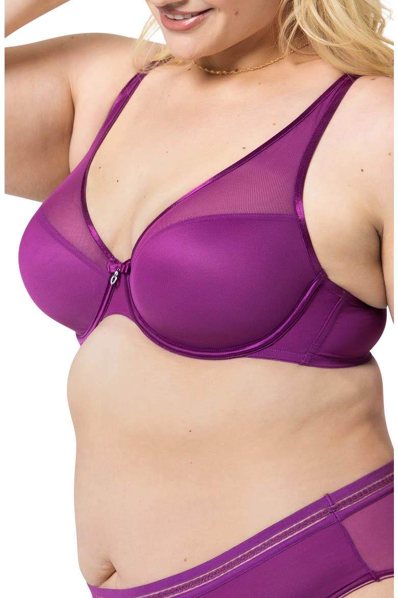 Sheer Mesh Plunge T-Shirt Bra, Alternate, color, BERRY BLISS