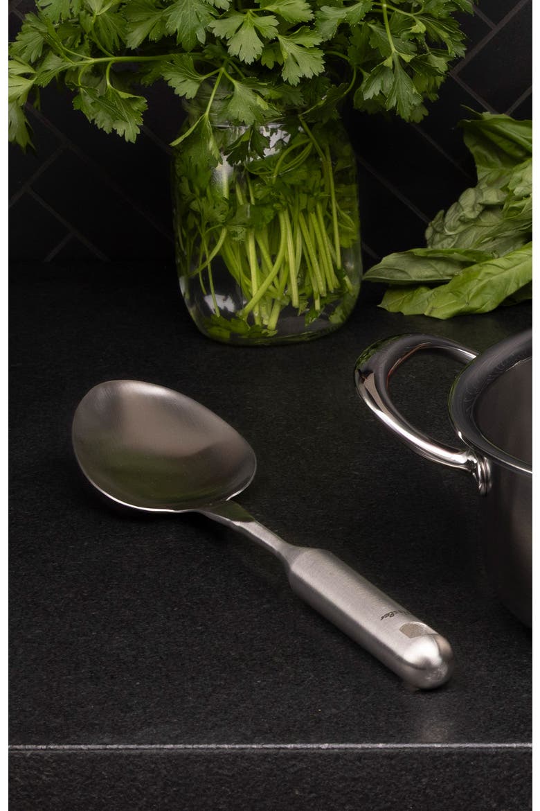 Essential™ serving spoon, Alternate, color, Metallic Silver
