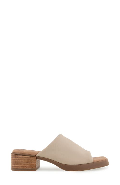 Aerosoles Denise Platform Sandal In Stone Stretch Fabric