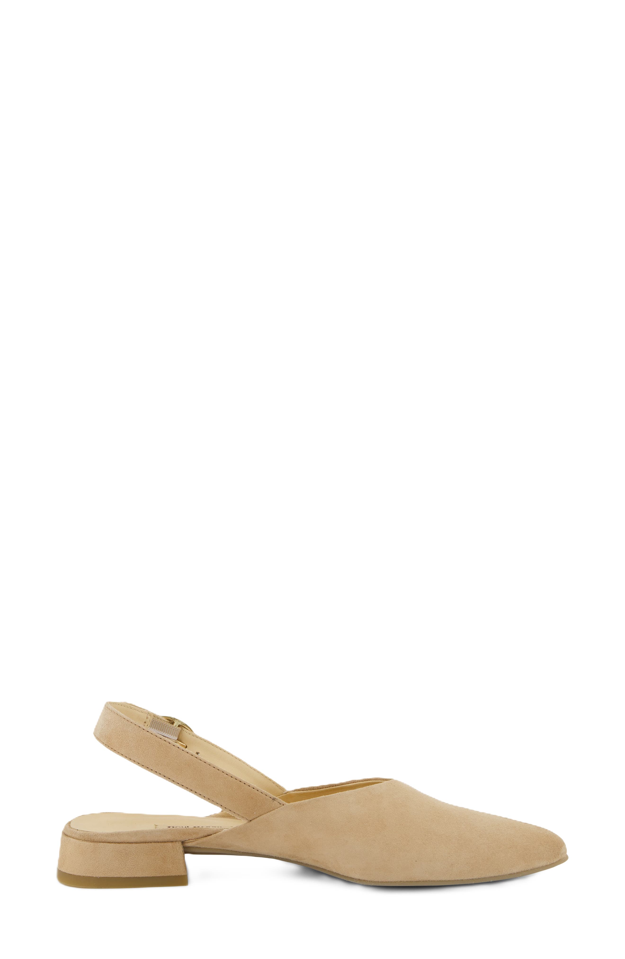 Aladdin Slingback Point Toe Flat, Alternate, color, DAKAR SUEDE
