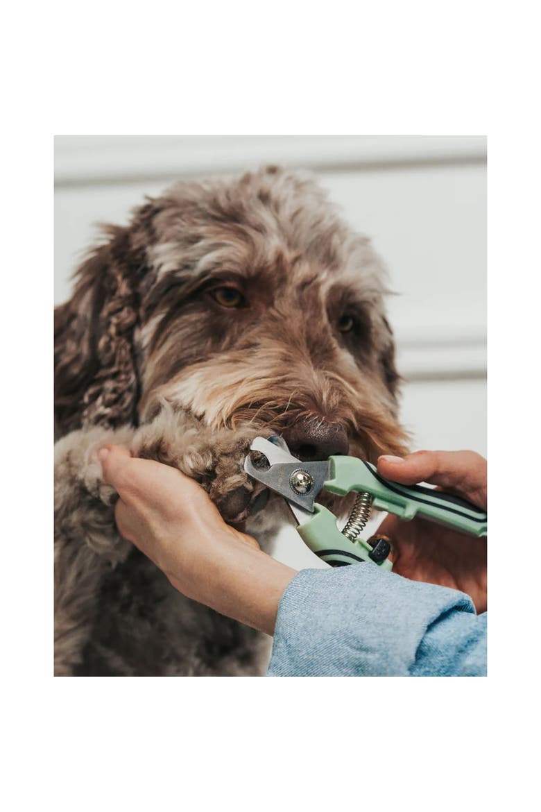 Pet Nail Clipper, Large, Sage Green, Dog & Cat Grooming Tool, Alternate, color, Green