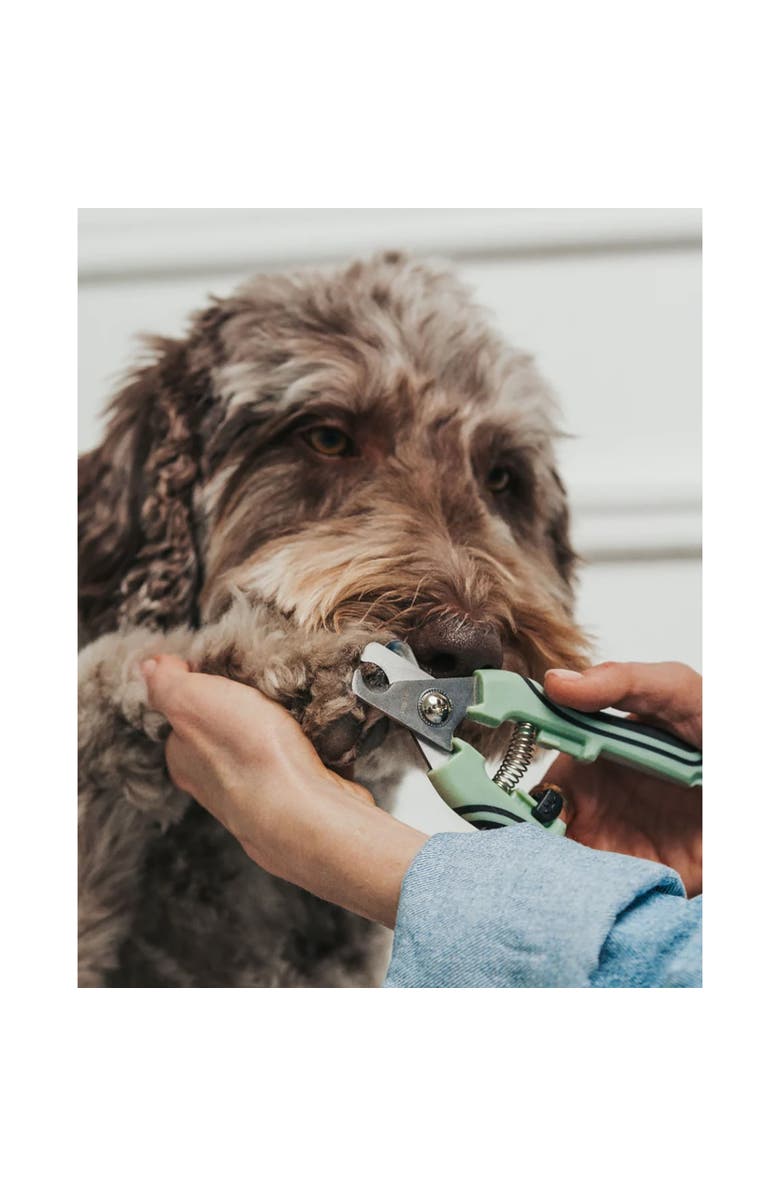 Dexypaws Pet Nail Clipper, Large, Sage Green, Dog & Cat Grooming Tool, Alternate, color, Green