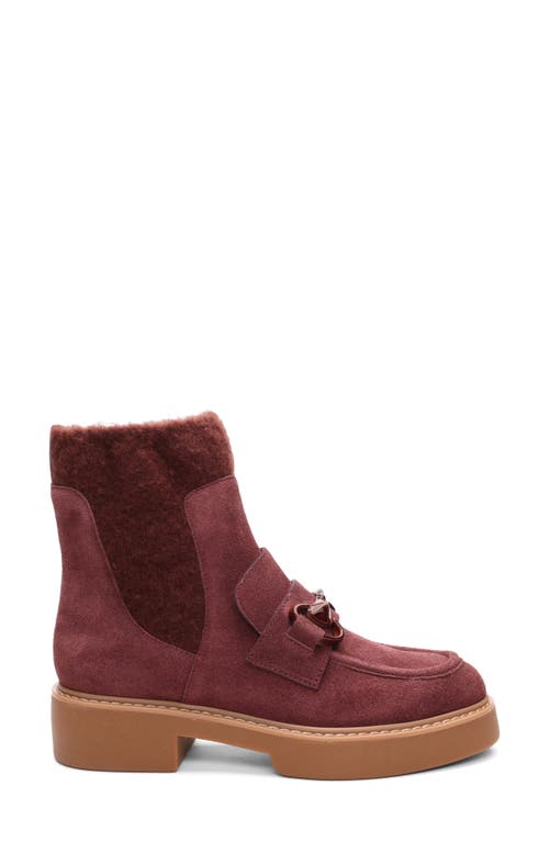 Sanctuary Marley Bit Chelsea Boot In Brown