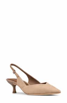 Pointed Toe Slingback Pump