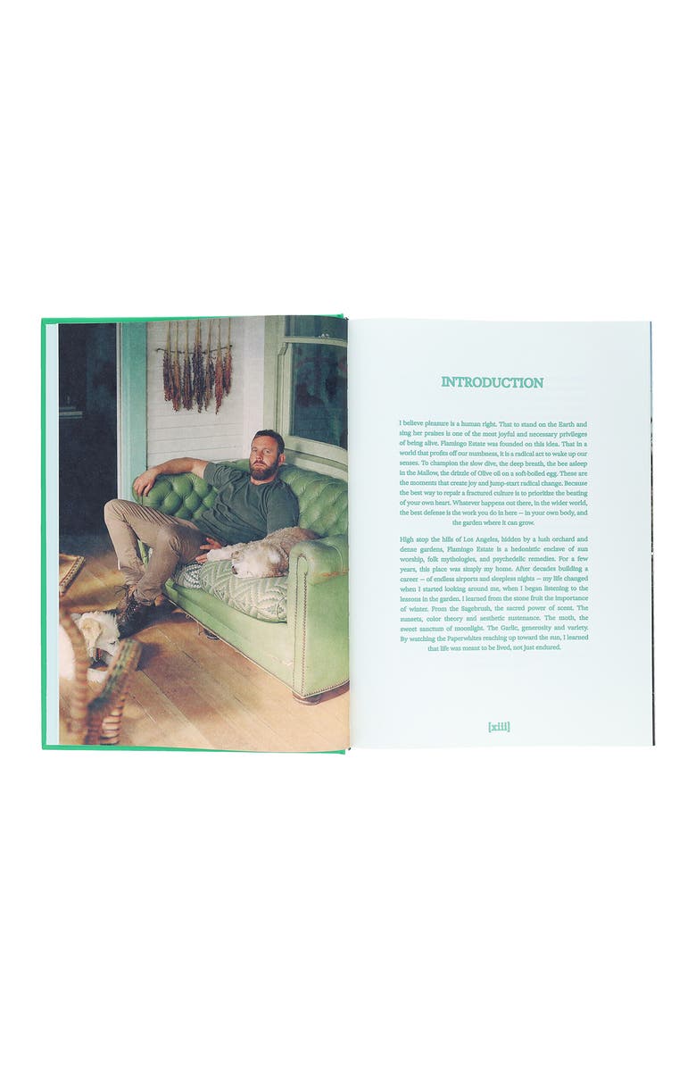 Chronicle Books 'Flamingo Estate: The Guide to Becoming Alive' Book, Alternate, color, 