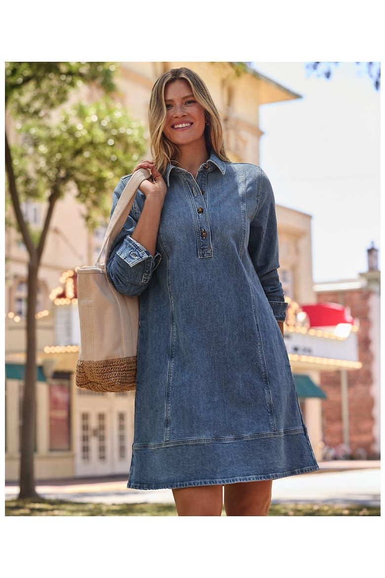 Tall Soft Denim Popover Long Sleeve Shirt Dress, Alternate, color, Lake Blue Wash