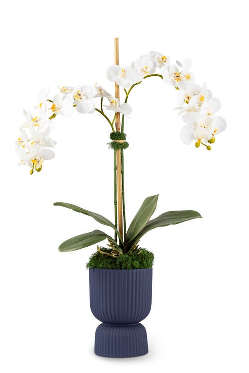 CocoBella Cruz RealTouch Pedestal Orchid in Snow  product