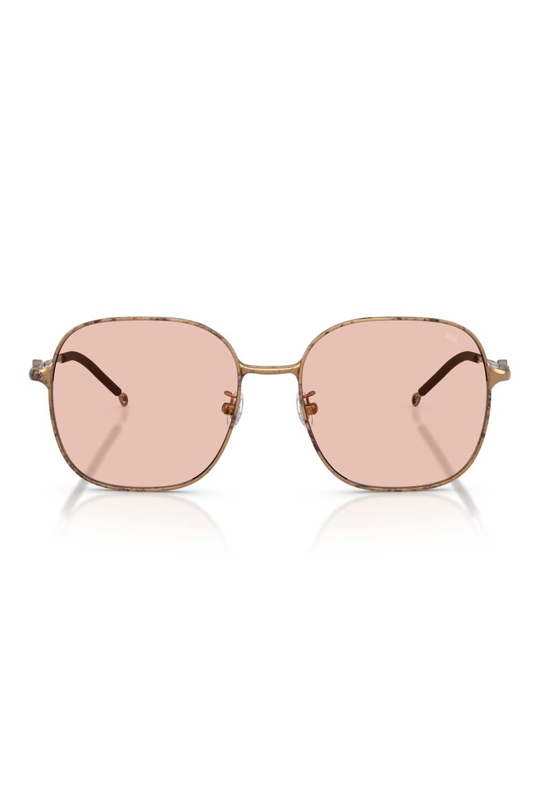 55mm Square Sunglasses, Main, color, PAPER TRANSPARENT BRONZE/ ROSE