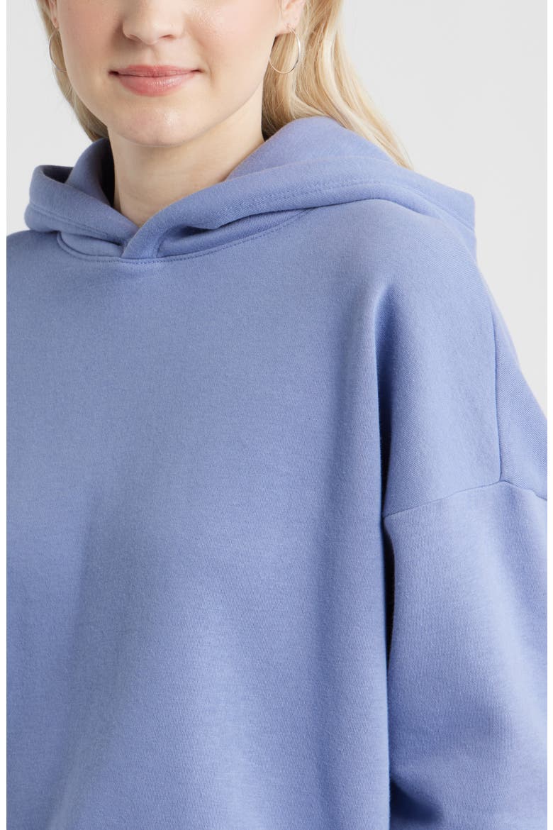 Relaxed Fleece Hoodie, Alternate, color, BLUE FROST