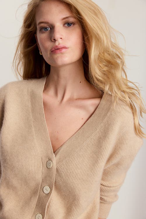 The Shirt By Rochelle Behrens The Cashmere V-neck Sweater In Brown