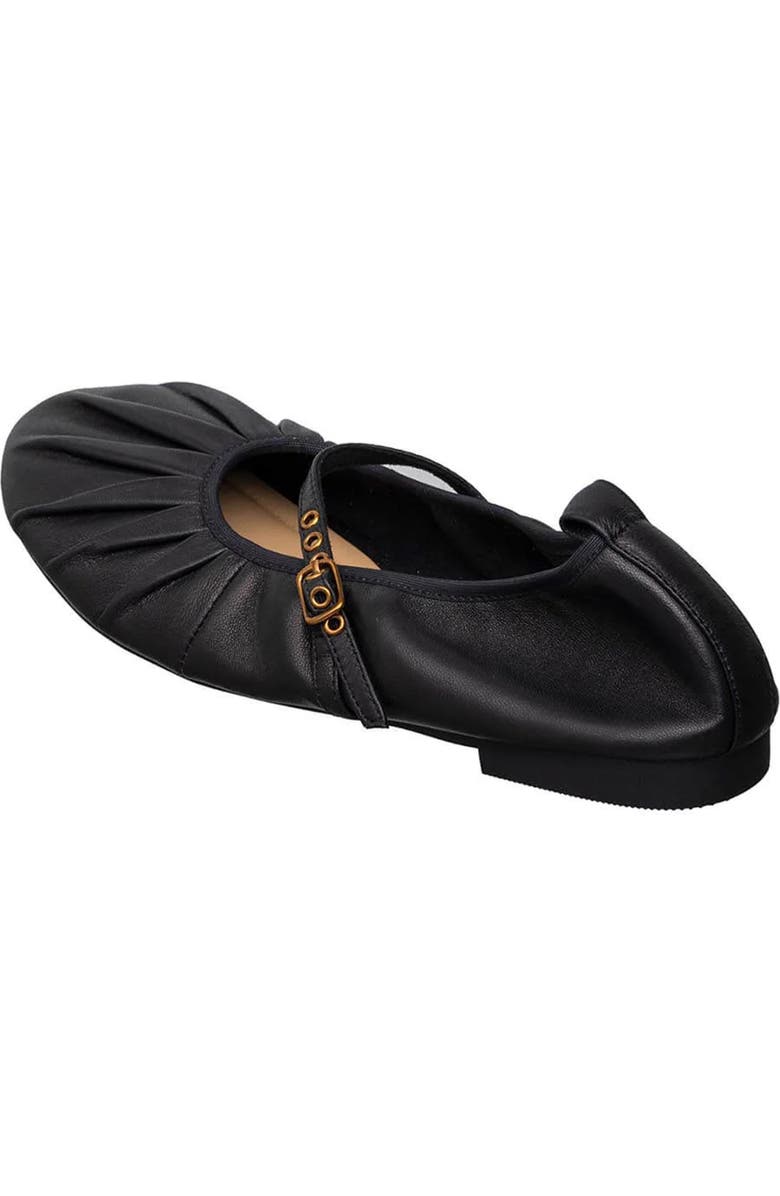 ANTELOPE Mila Ballet Flat, Alternate, color,
