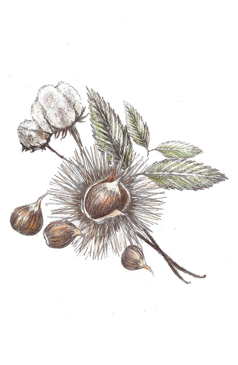 Kerzon Chataigne Corse Candle, Alternate, color,