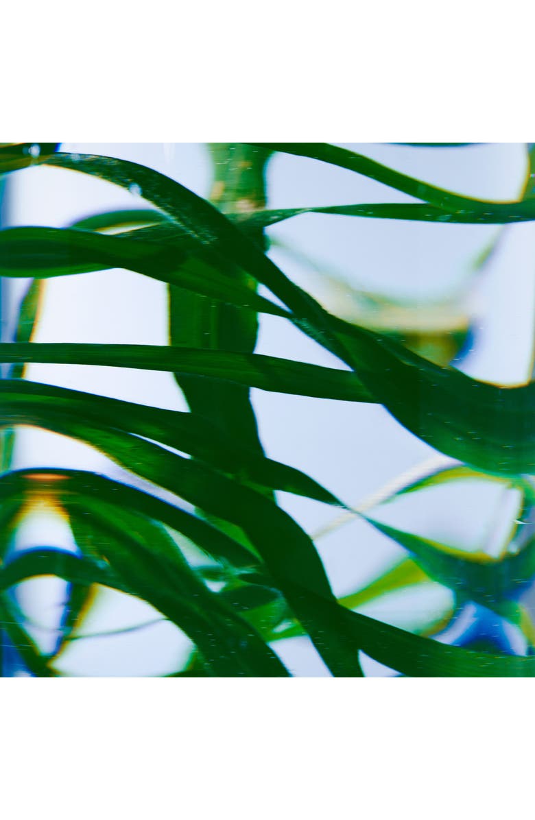 BYREDO Vetyver Hand Wash, Alternate, color, Refill