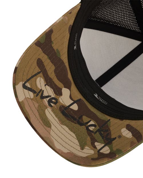 Black Clover Clover Nation 25 Hat In Brown