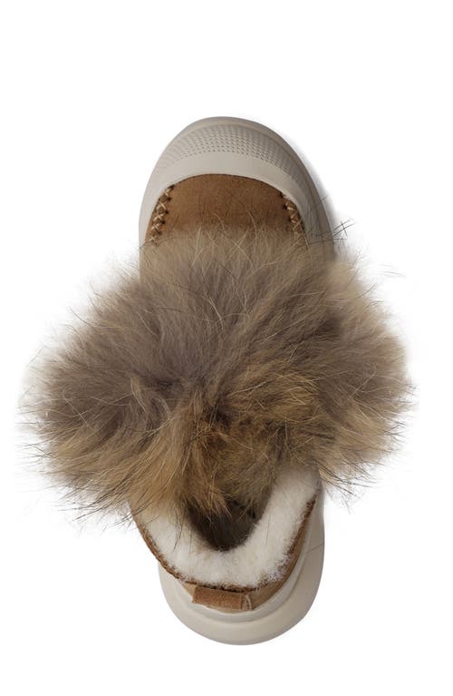 Zigi Faux Fur Lug Sole Bootie In Tan Suede