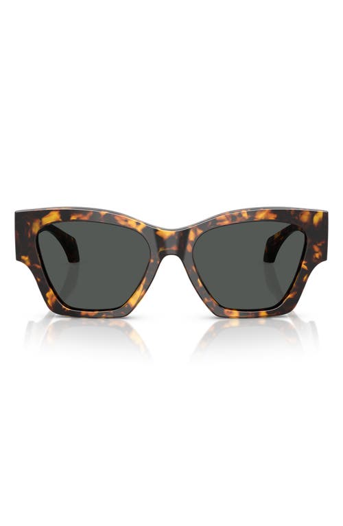 Versace 53mm Square Sunglasses In Brown