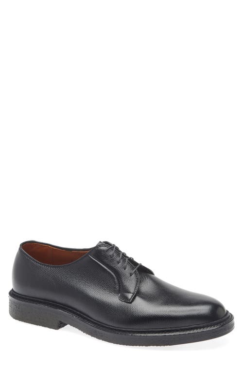 Alden Shoe Company Alden All Weather Plain Toe Derby In Black