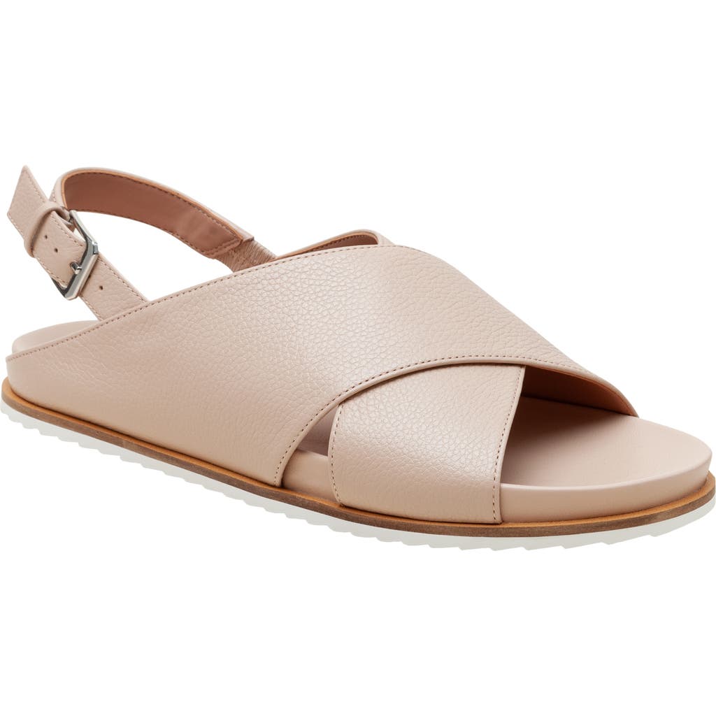 Linea Paolo Raylin Slingback Sandal In Blush Pink