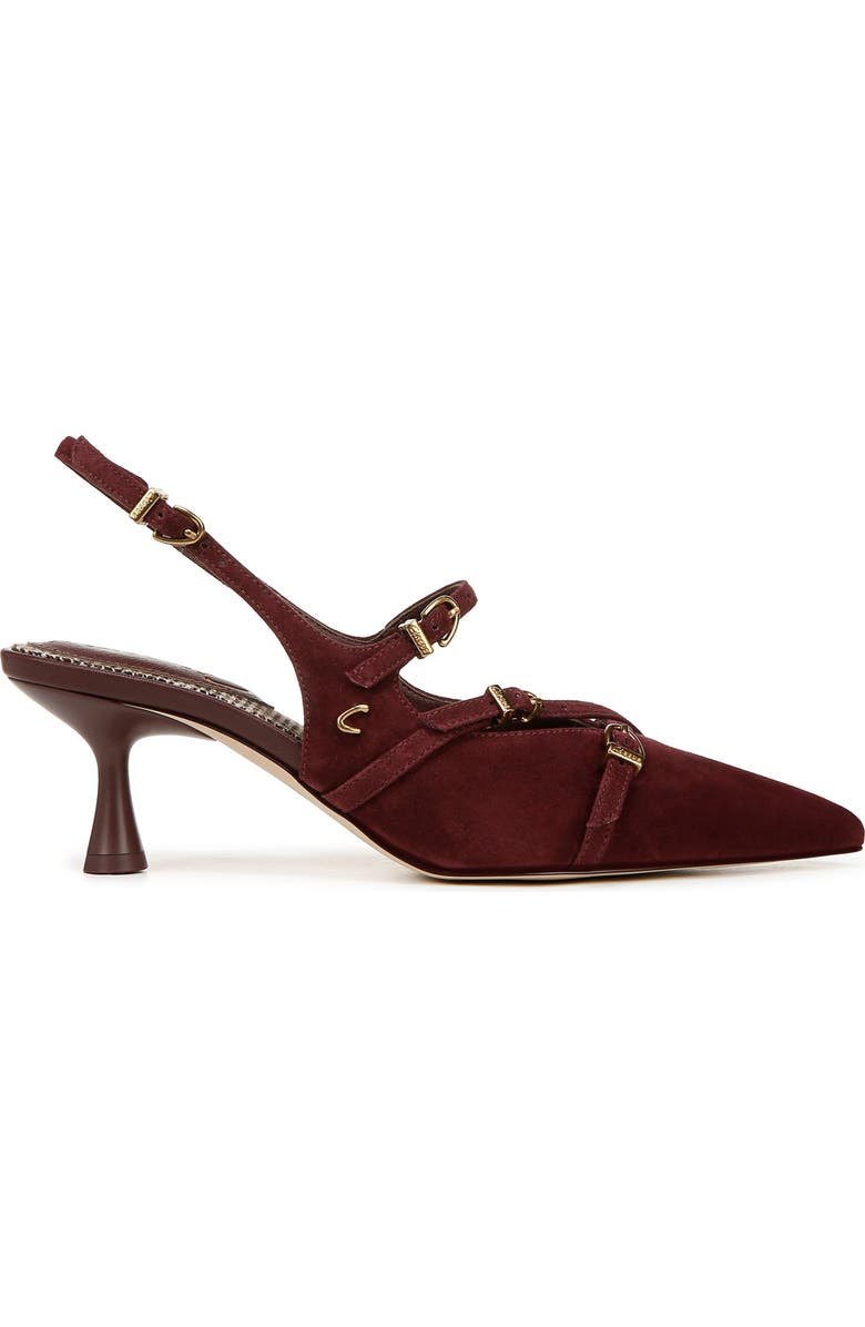 Circus NY by Sam Edelman Fraya Slingback Pointed Toe Pump, Alternate, color, Spiced Plum Cs