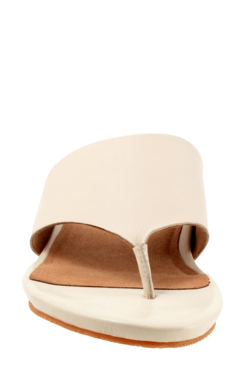 Softwalk ® Chandler Sandal In Ivory