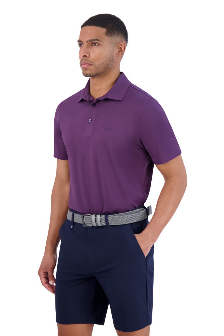 Solid Tech Pique Sports Fit Polo, Alternate, color, PURPLE