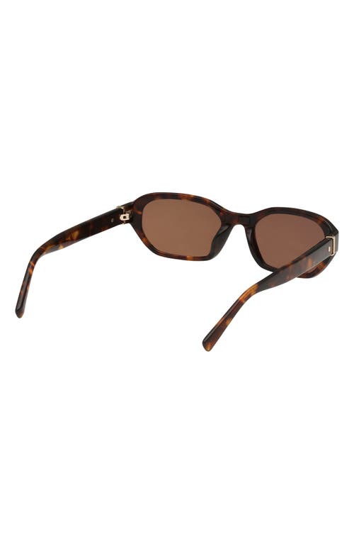 Abercrombie & Fitch 52mm Oval Sunglasses In Brown