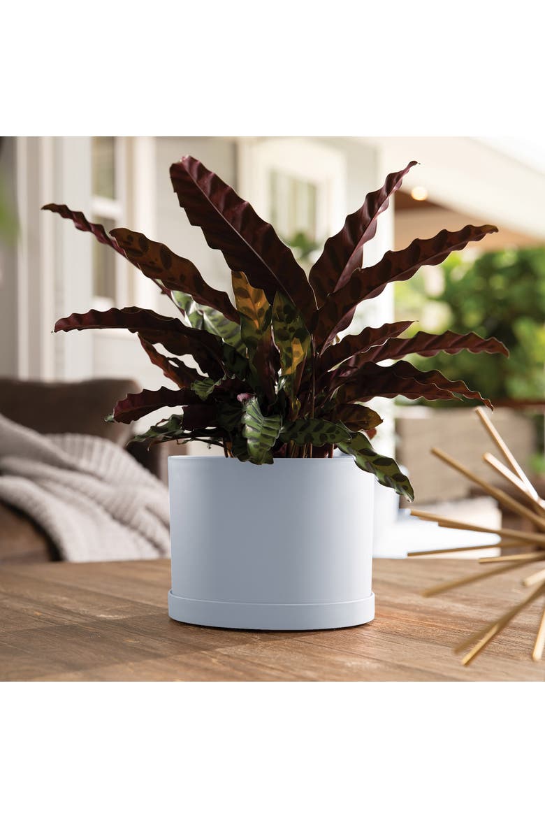 Mathers Planter with Saucer Tray  8 Inch Misty Blue, Alternate, color, Blue