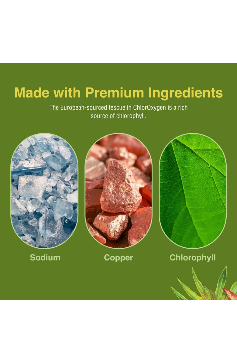 Trace Minerals ChlorOxygen Chlorophyll Concentrate - Highly-Concentrated Energy Support - Aids Healthy Blood Circulation - Natural Vitality Support - Alcohol-Free - 1 fl oz, Mint, Alternate, color, NO COLOR