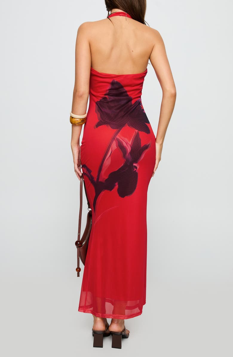 Princess Polly Bittersuite Floral Plunge Cowl Halter Neck Mesh Maxi Dress, Alternate, color, Red Multi