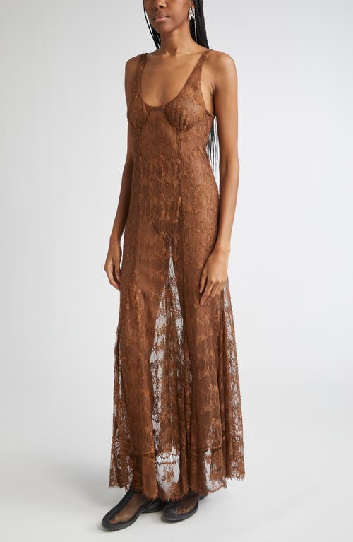 Collina Strada Pamela Sheer Lace Slipdress In Brown