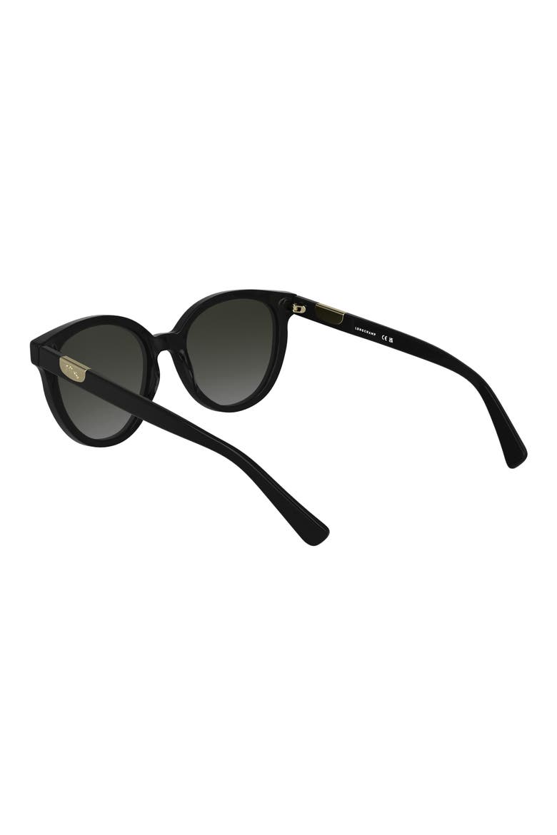 Le Pliage 52mm Gradient Round Sunglasses, Alternate, color, BLACK