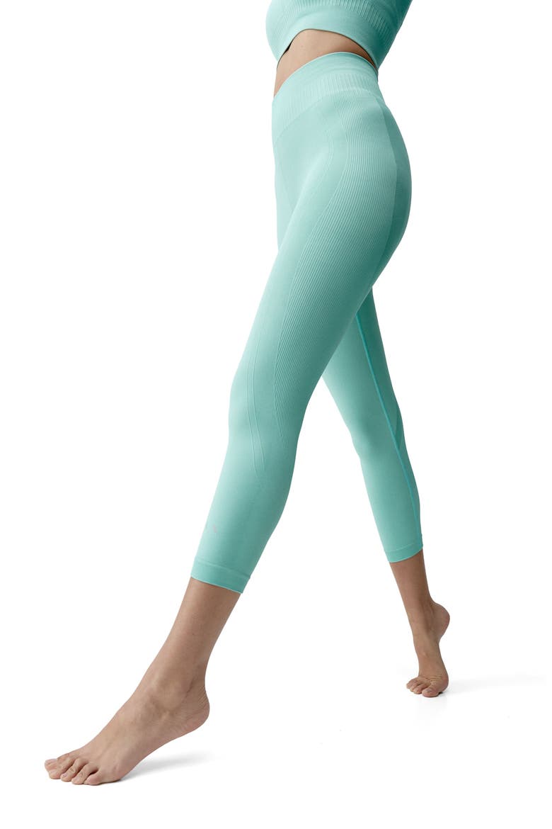 Eris Seamless Capri Sports Legging, Alternate, color, Greece Blue