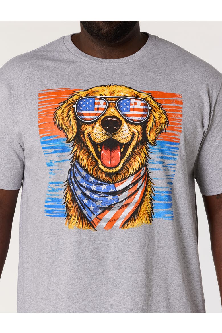 Big & Tall Independence Day Dog Graphic T-Shirt, Alternate, color, GREY HEATHER